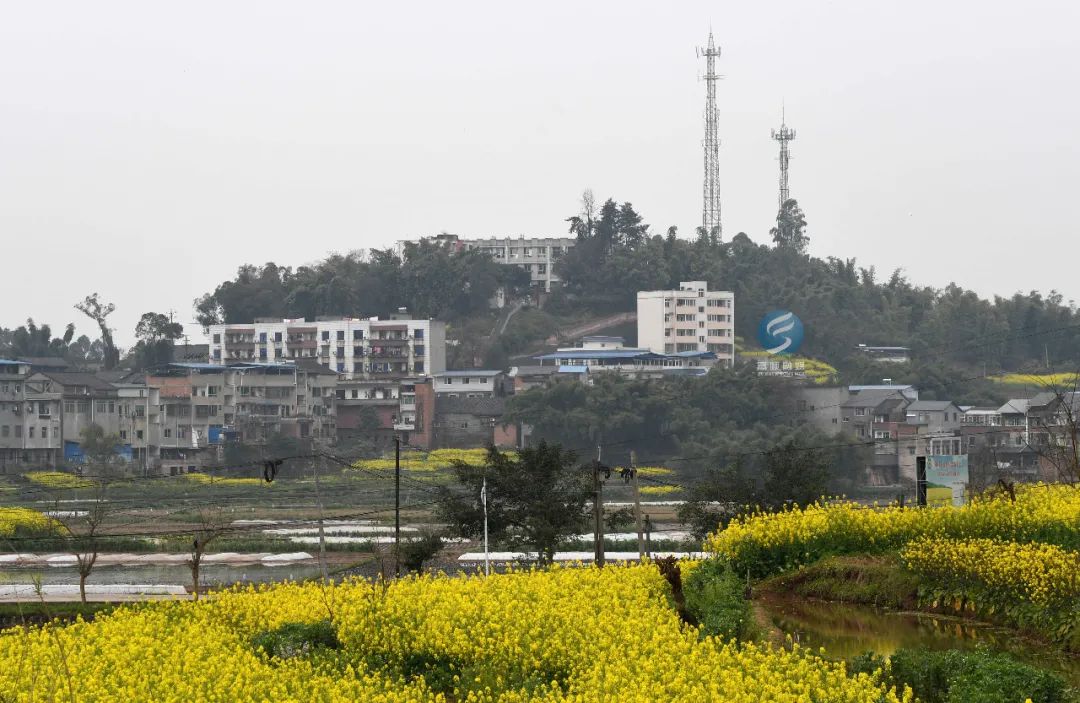 中石九年制学校富顺县长滩镇九年制学校富顺县安溪镇毛桥九年制学校注
