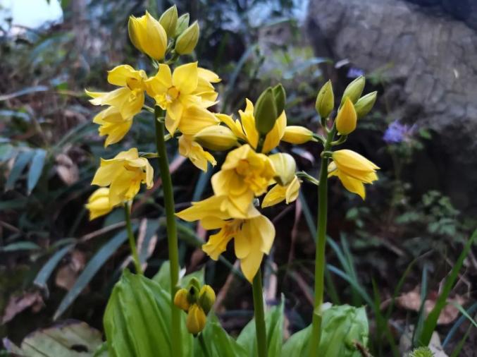 江西这地首次发现!(最新发布)