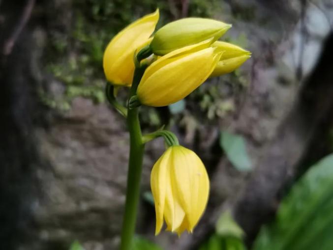 江西这地首次发现!(最新发布)