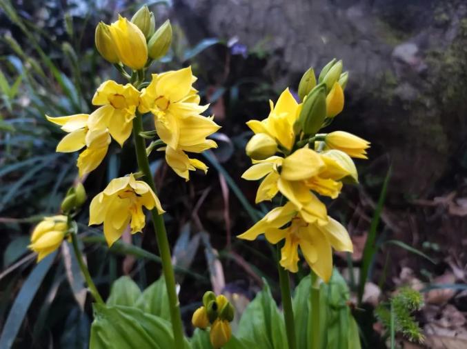 江西这地首次发现!(最新发布)