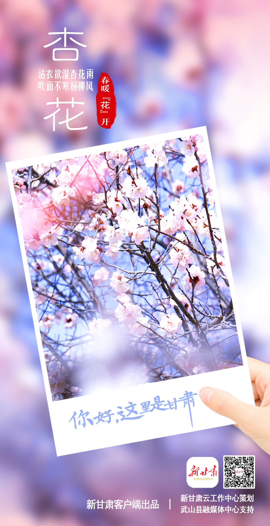 【微海报】你好，这里是甘肃（最新发布）