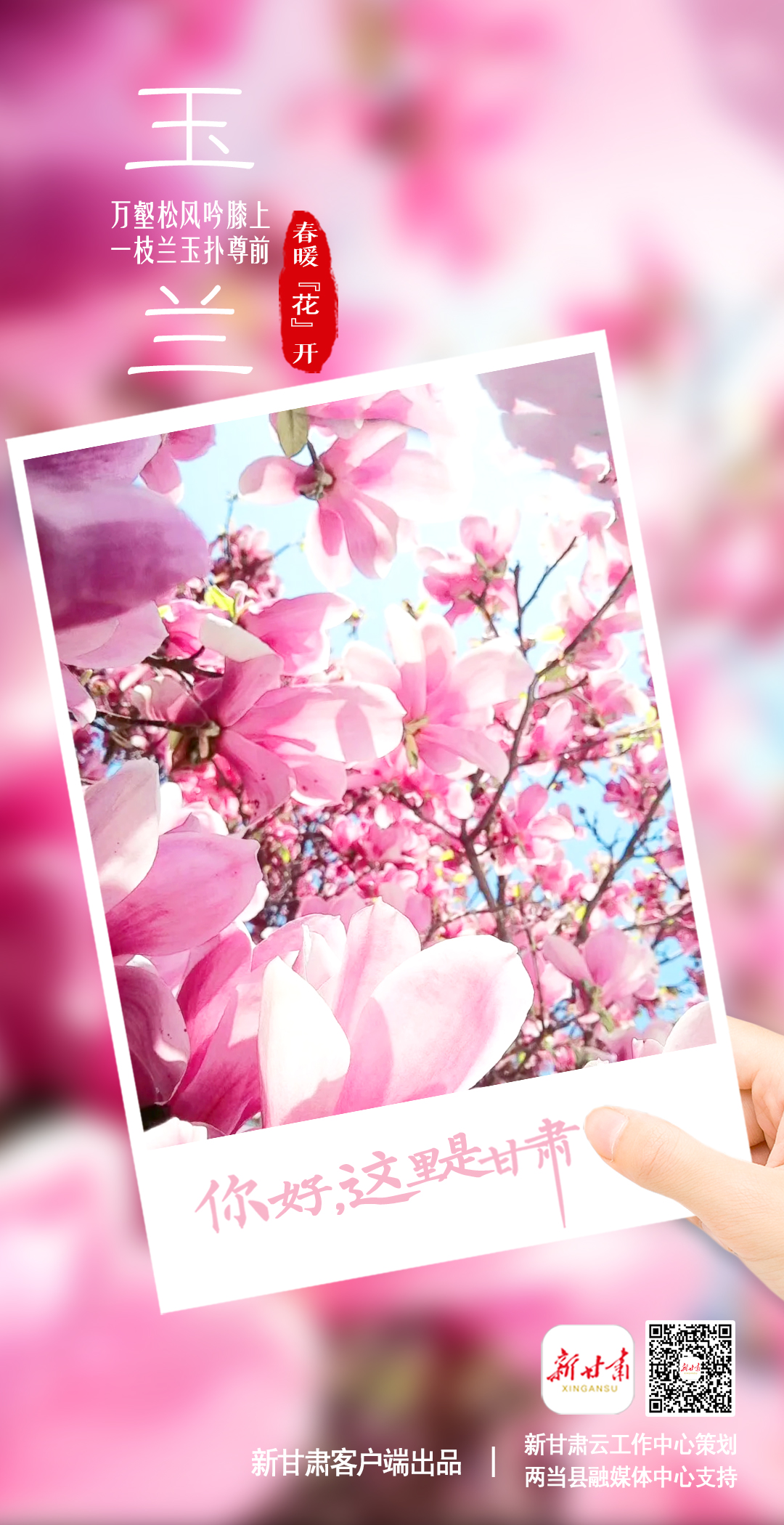 【微海报】你好，这里是甘肃（最新发布）