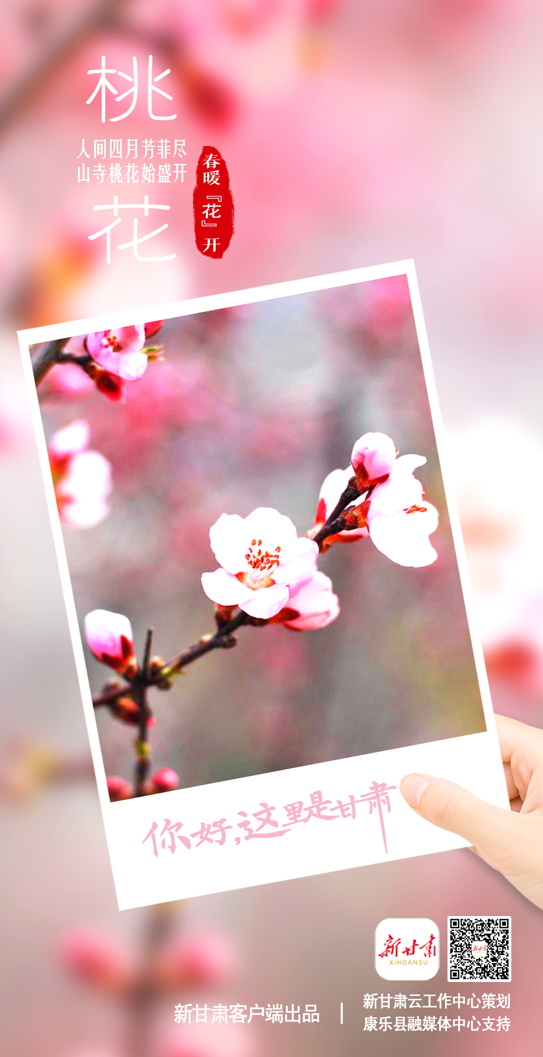 【微海报】你好，这里是甘肃（最新发布）