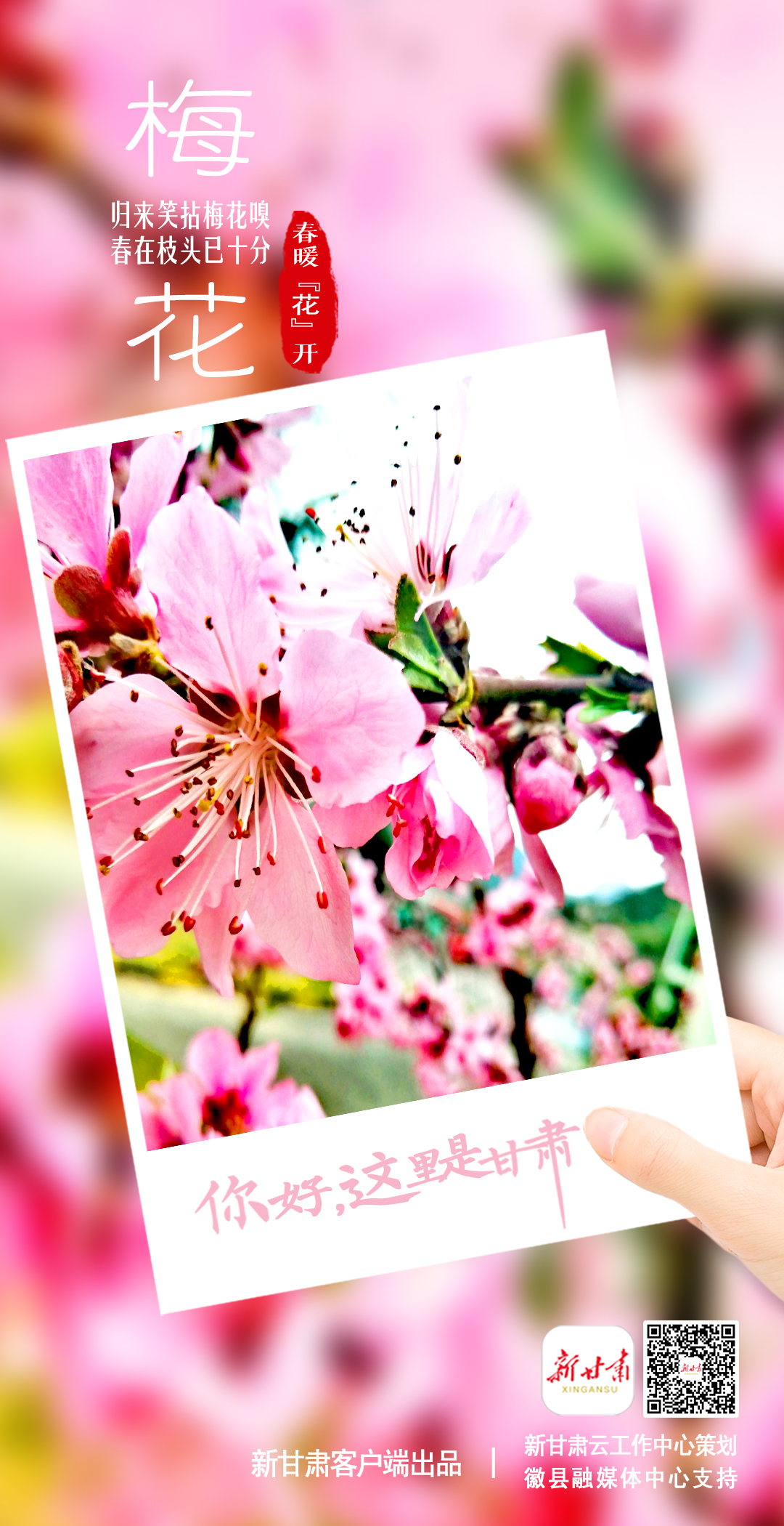 【微海报】你好，这里是甘肃（最新发布）