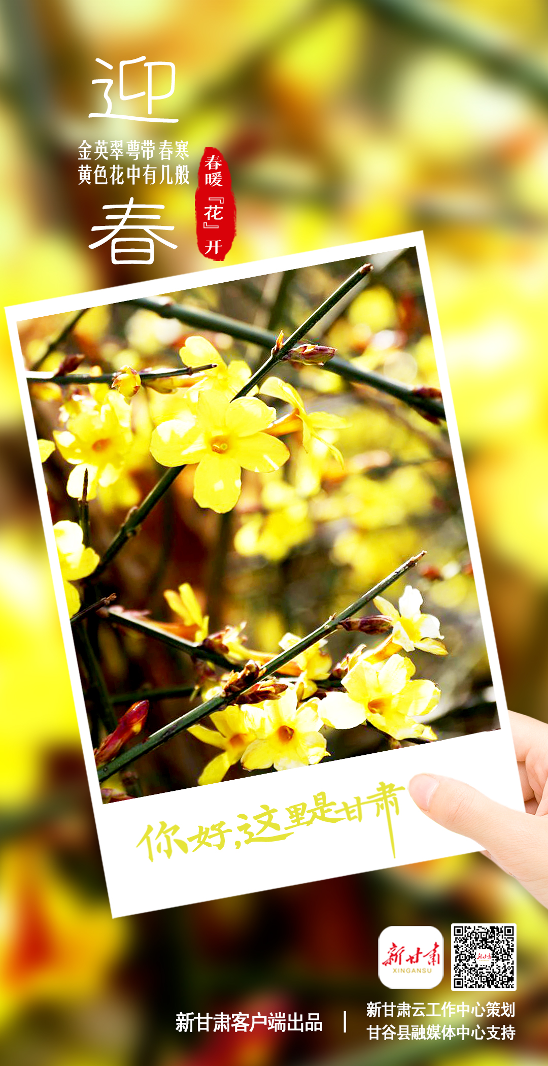 【微海报】你好，这里是甘肃（最新发布）