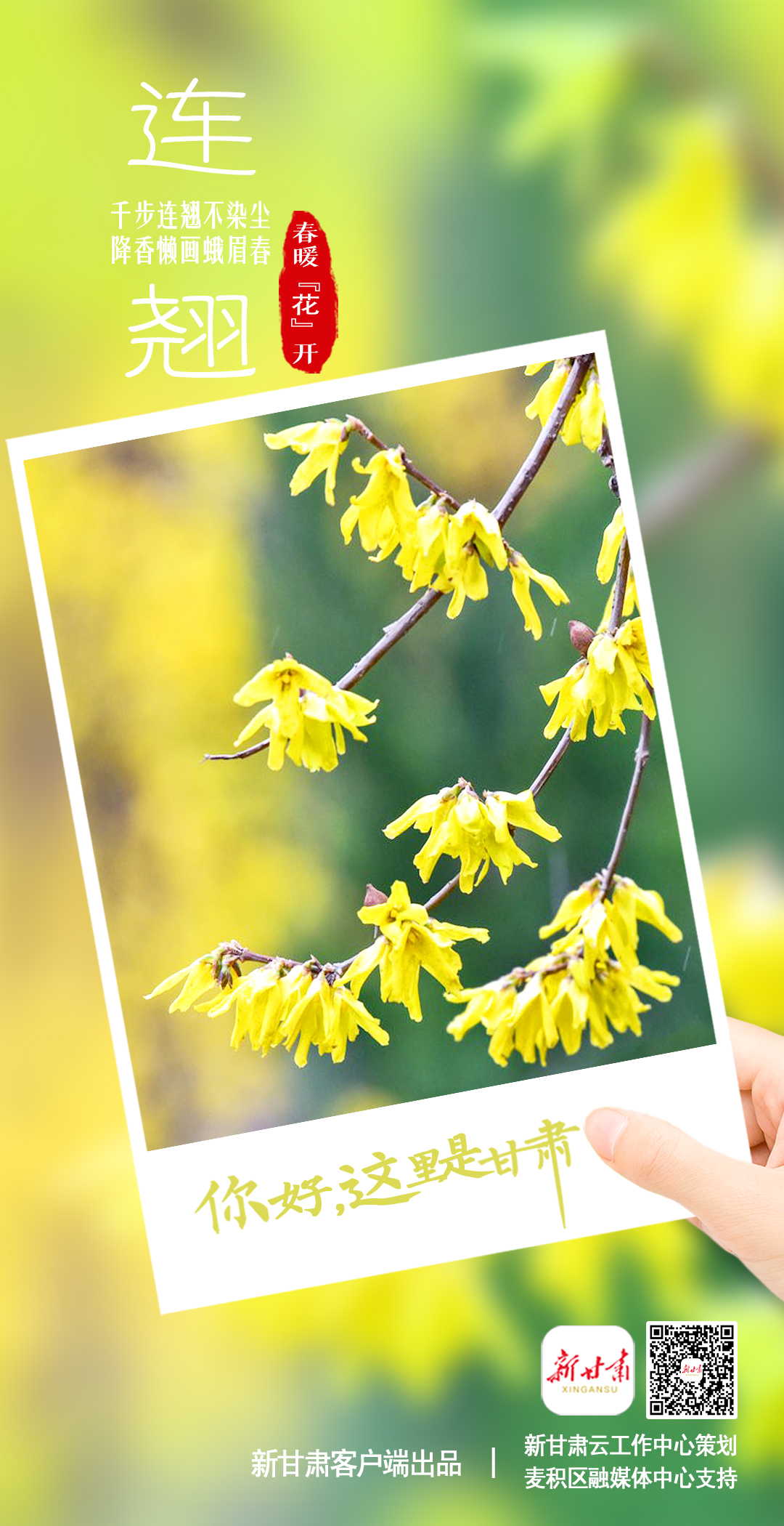 【微海报】你好，这里是甘肃（最新发布）