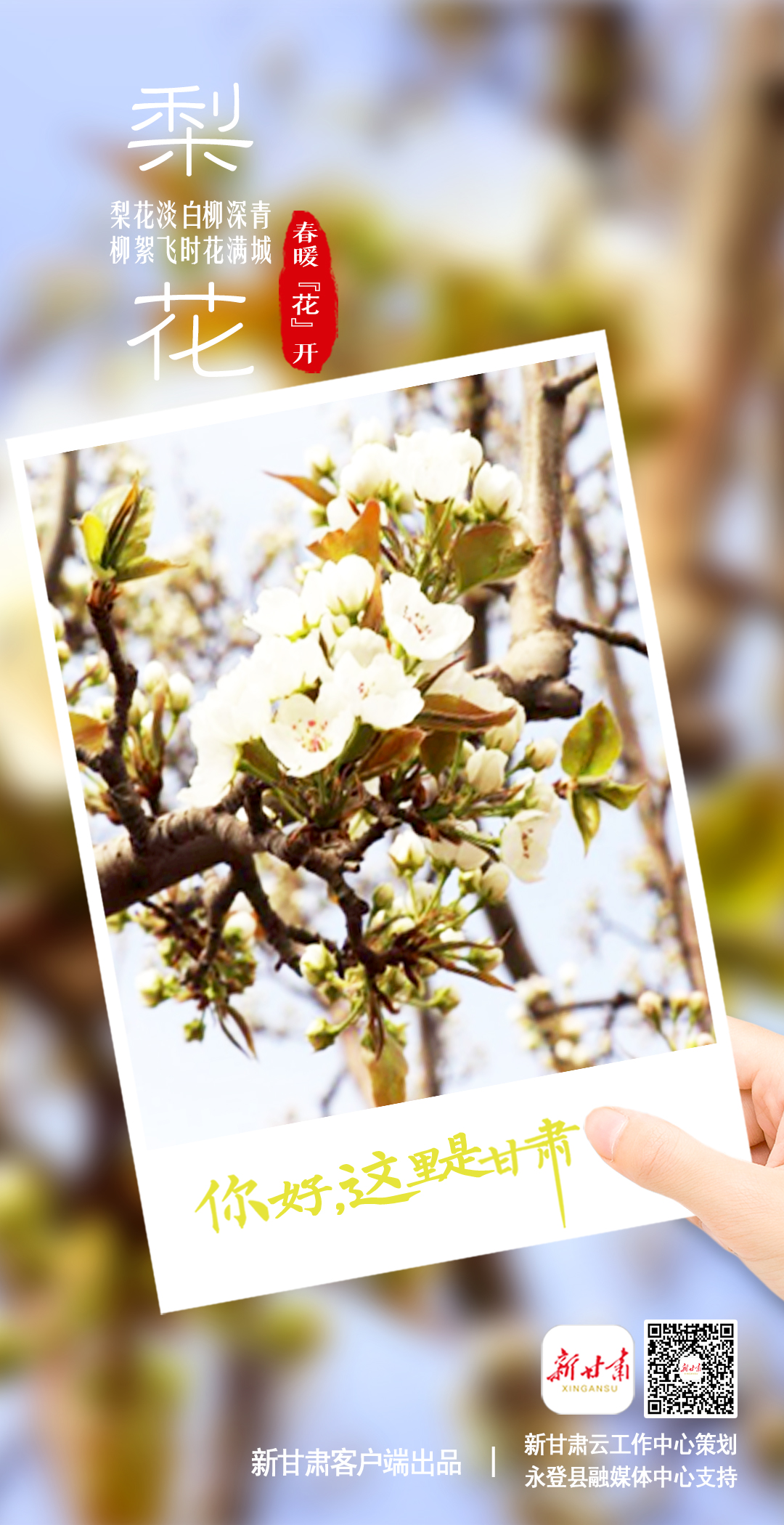 【微海报】你好，这里是甘肃（最新发布）