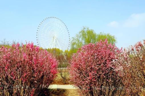 春暖武威,凉州植物园许你一场春之约!