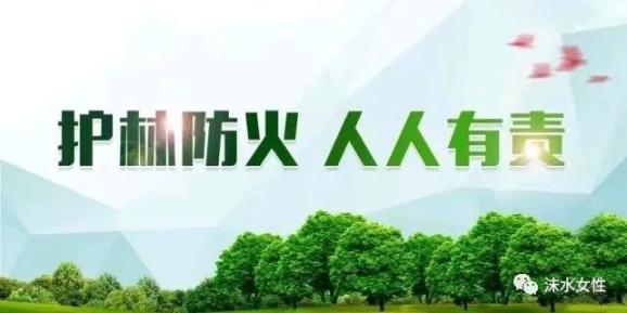 森林防火宣传(七):森林火灾防护措施和逃生技能