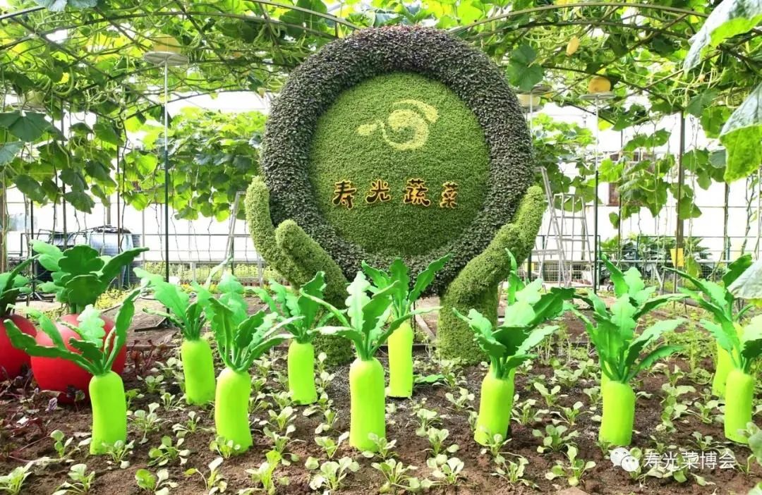 第二十二届菜博会即将开幕