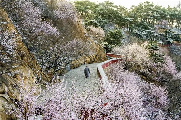 天津爬山好去处大盘点五一来这里兜风爽到飞起