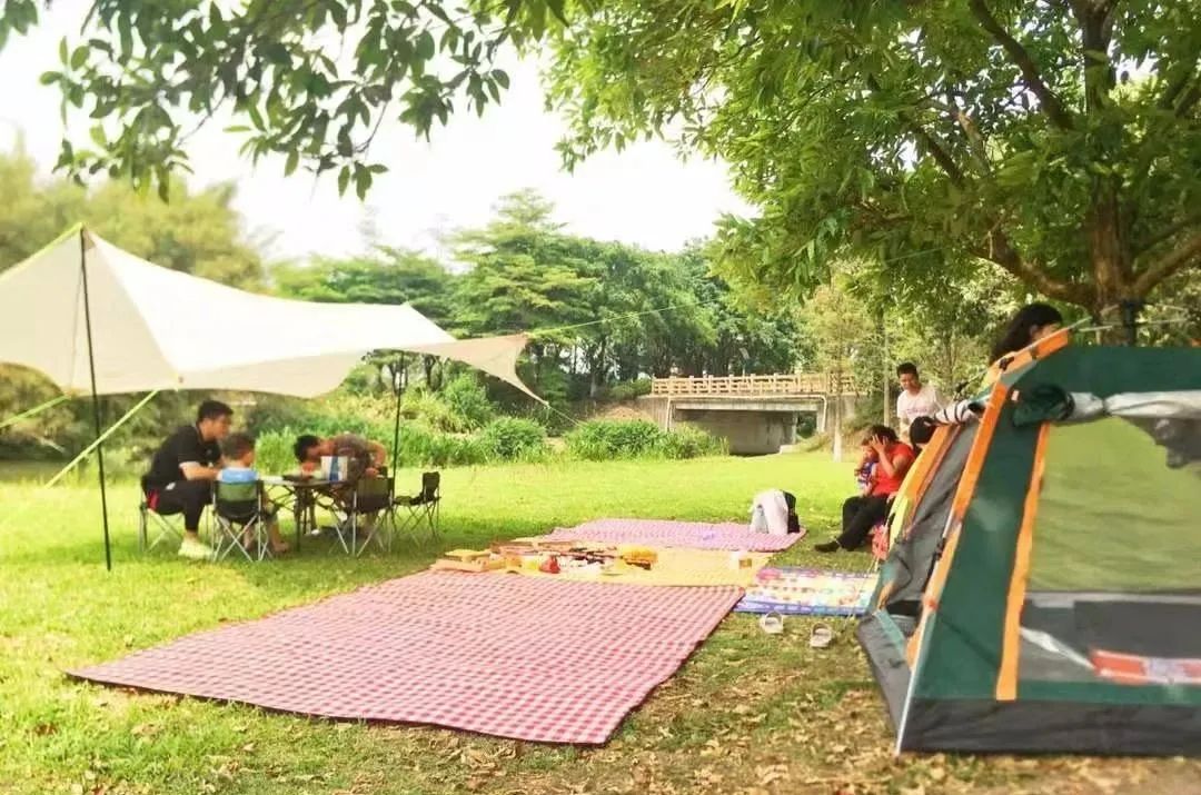 沿途风光,景区内还有单车出租,快点与家人尽情领略湿地公园的景观吧