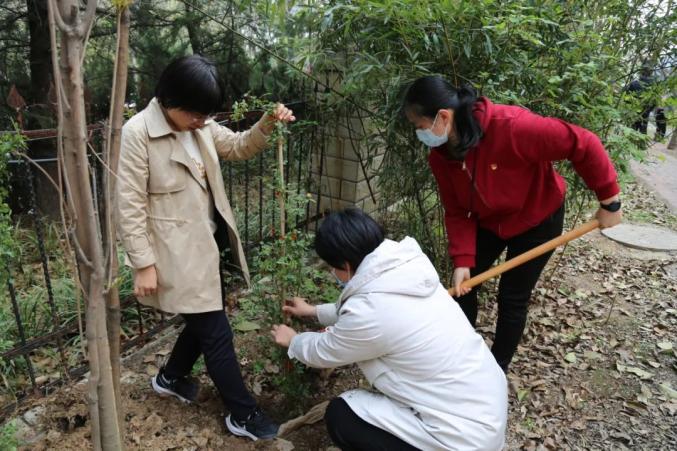 临沂市妇联开展植树护绿共建美丽家园我为社区办实事志愿服务活动