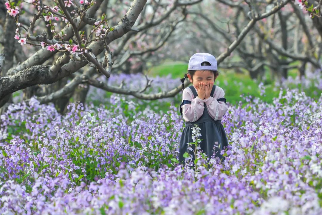 天津市武清区：约！咱武清人自己的“桃花源”（最新发布）