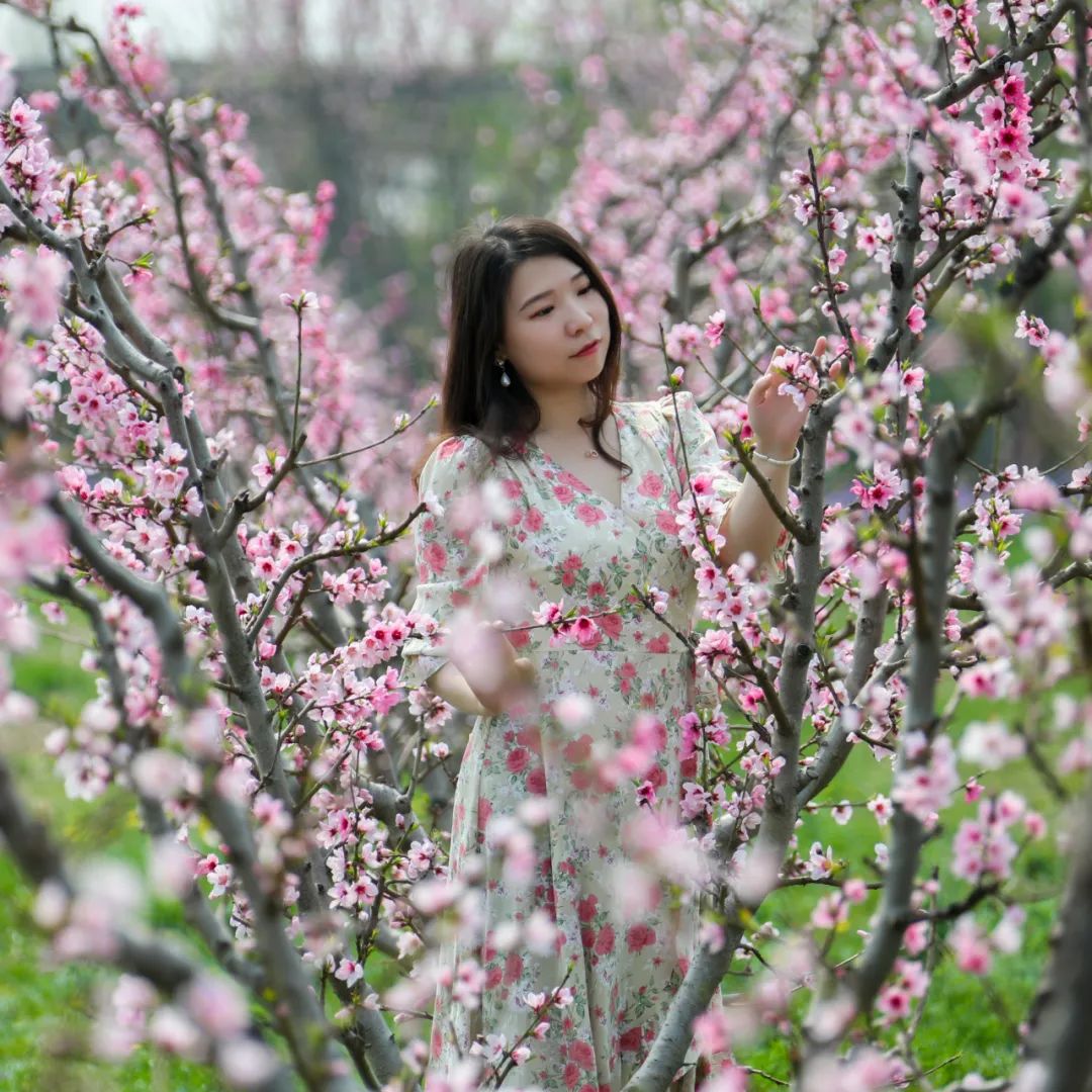 天津市武清区：约！咱武清人自己的“桃花源”（最新发布）