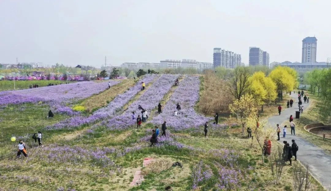 天津市武清区：约！咱武清人自己的“桃花源”（最新发布）