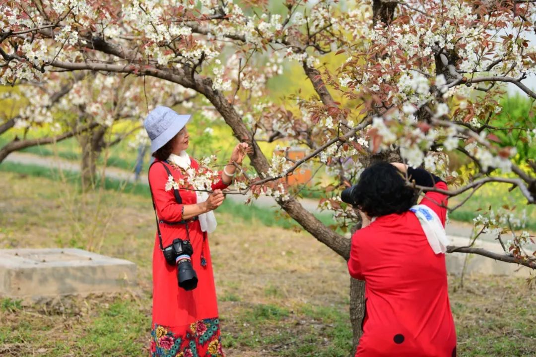 天津市武清区：约！咱武清人自己的“桃花源”（最新发布）
