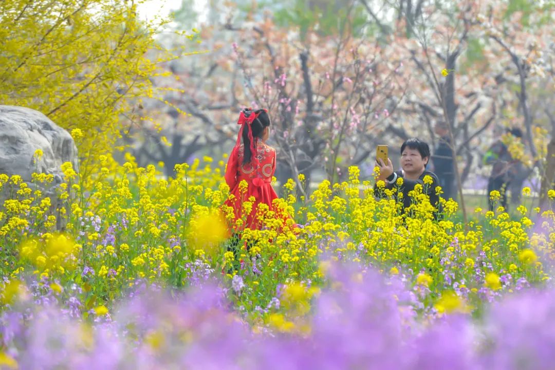 天津市武清区：约！咱武清人自己的“桃花源”（最新发布）