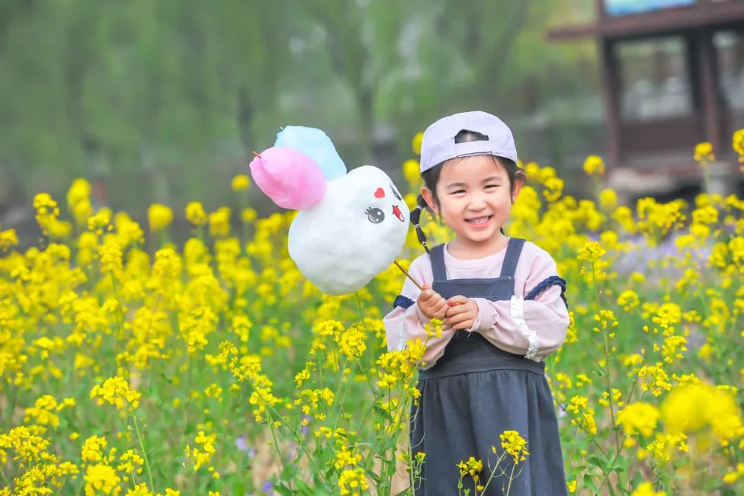 天津市武清区：约！咱武清人自己的“桃花源”（最新发布）