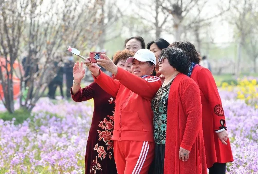 天津市武清区：约！咱武清人自己的“桃花源”（最新发布）