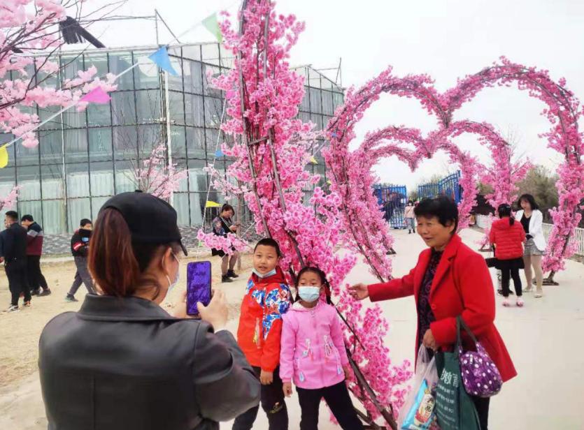 武威市民在家门口漫步于樱花旅游艺术节,领略樱花的美丽,带着孩子在