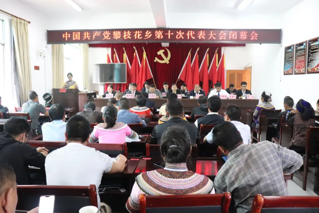 元阳资讯速览