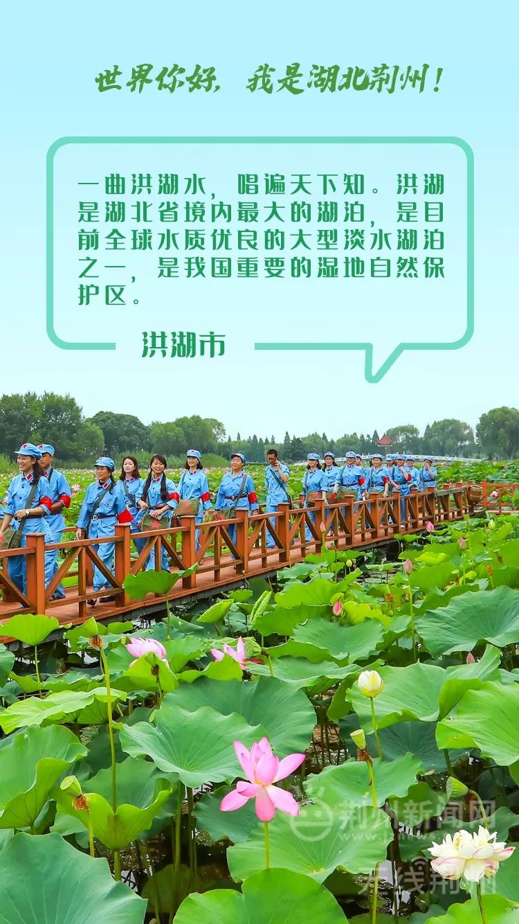 洪湖外文网站推广 澎拜新闻