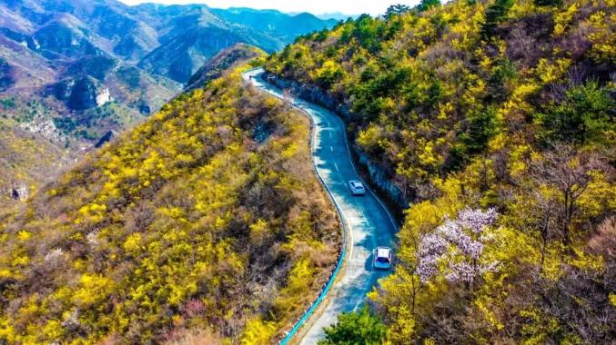 种美叫春天的爱情一号公路有一种约定叫我在爱情圣地青龙峡等你总监制