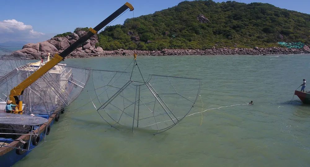 渔礁问答 澎拜新闻