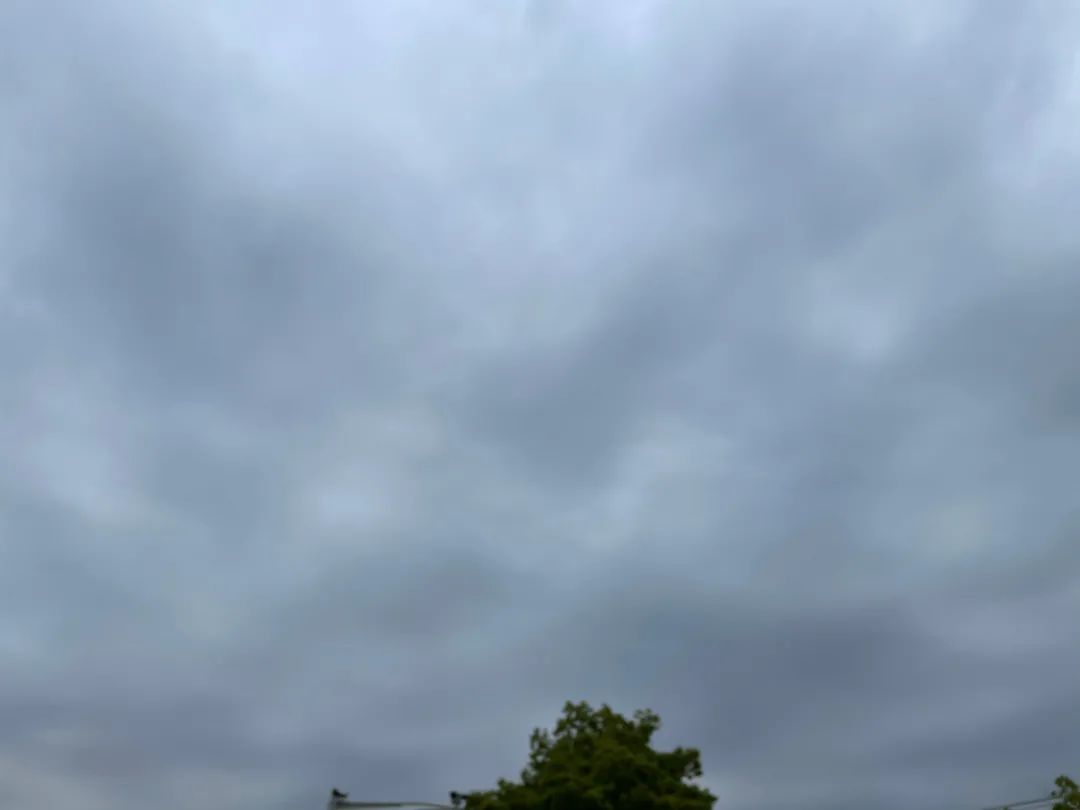 明日零星小雨,之后迎来神仙天气!