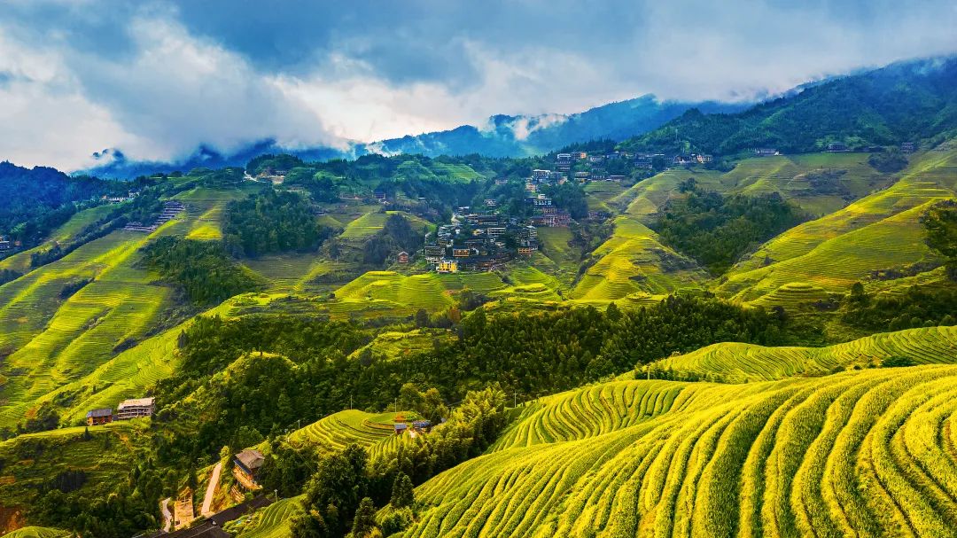 中国那么大，这天只有广西在放假！（最新发布）