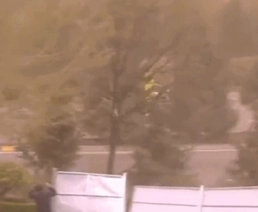 大风肆虐!陕西已发39条预警