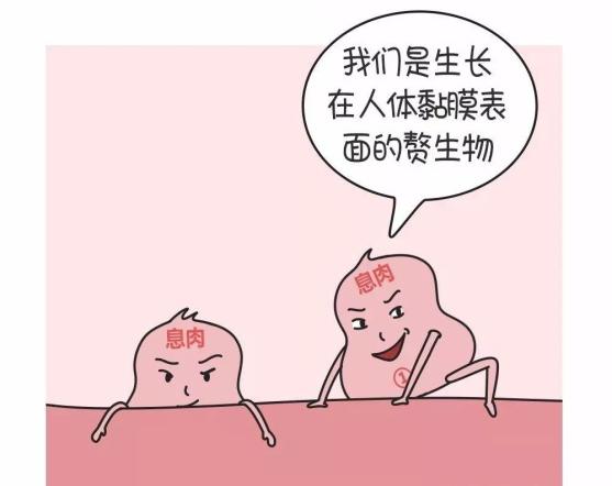 但炎症性息肉长期受慢性炎症刺激,也有可能向腺瘤进展