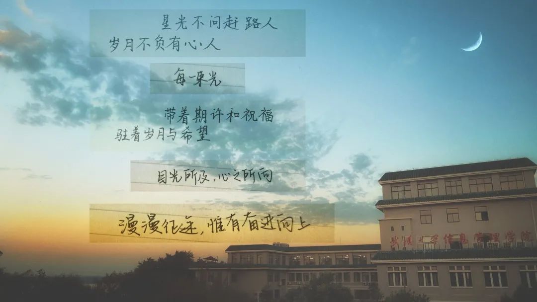 50天后山顶见