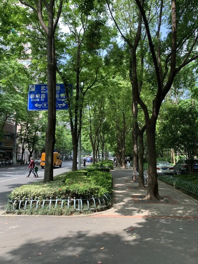 昌平路,康定路街景