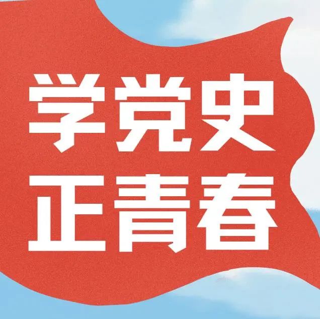 【教育整顿】梨树法院团支部开展"学党史 正青春"学习