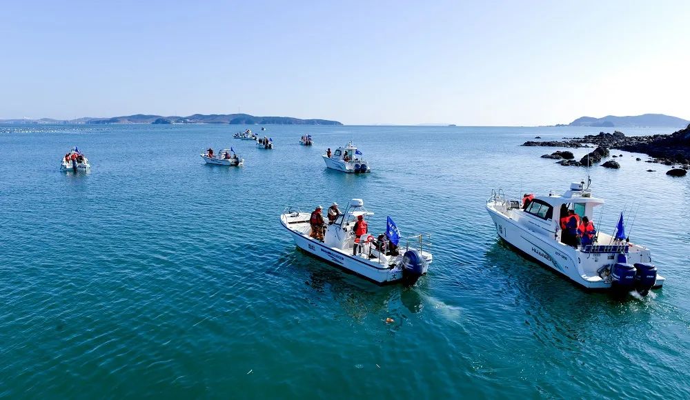 以海为名 以洋为号这里是海洋岛海洋岛,长山群岛中距离大陆最远的岛屿