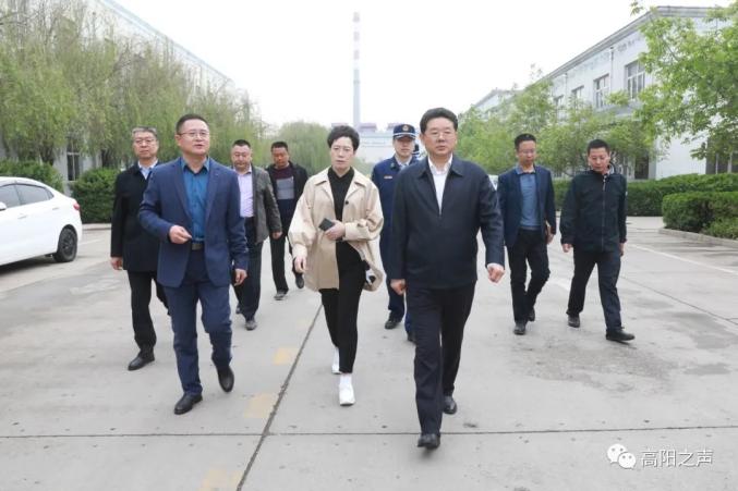 大世界购物中心,河北丽博纺织品制造有限公司,高阳县振华毛纺织有限