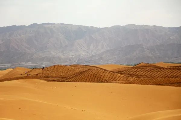 中国魔方升级版来了已在宁夏中卫沙漠正式上岗