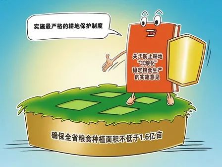 什么叫耕地非粮化速看