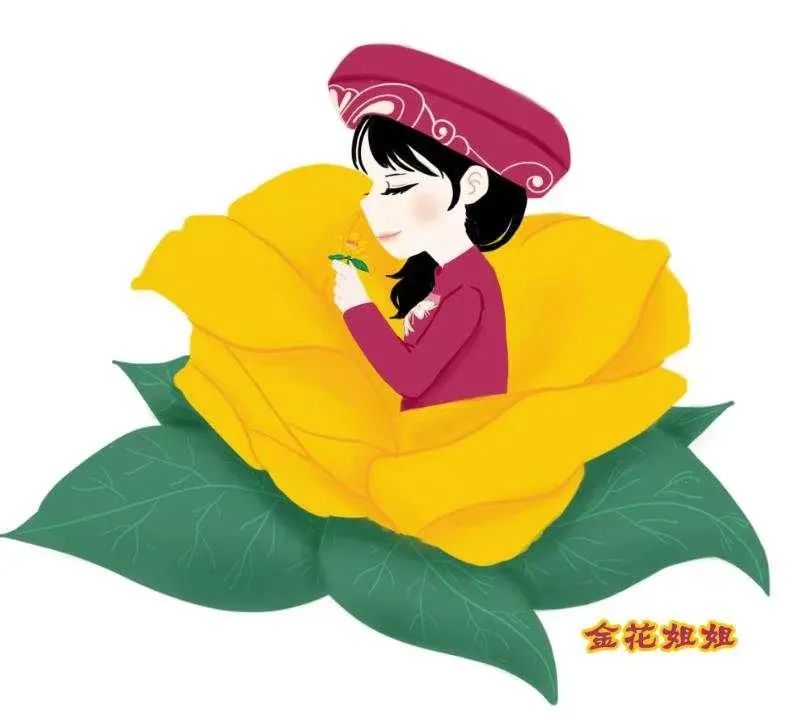 金花姐姐法律讲堂夫妻共同财产