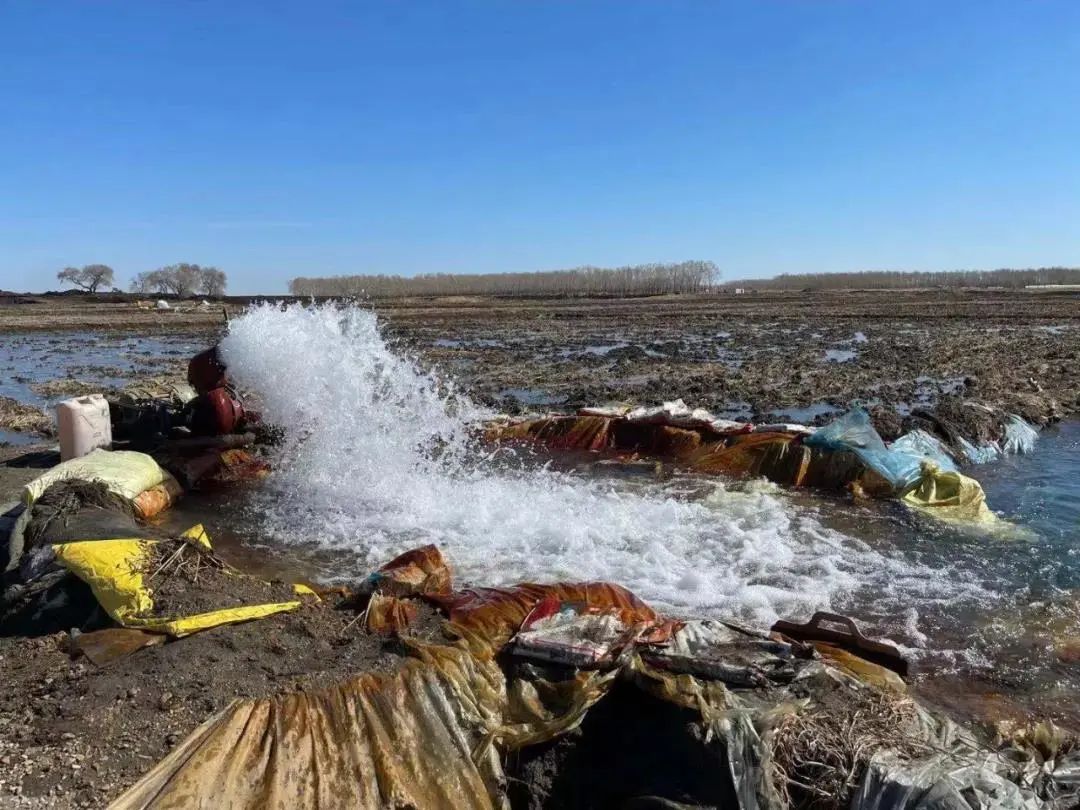 哈拉海农场:秧苗管理与泡田整地"双管齐下"促高产