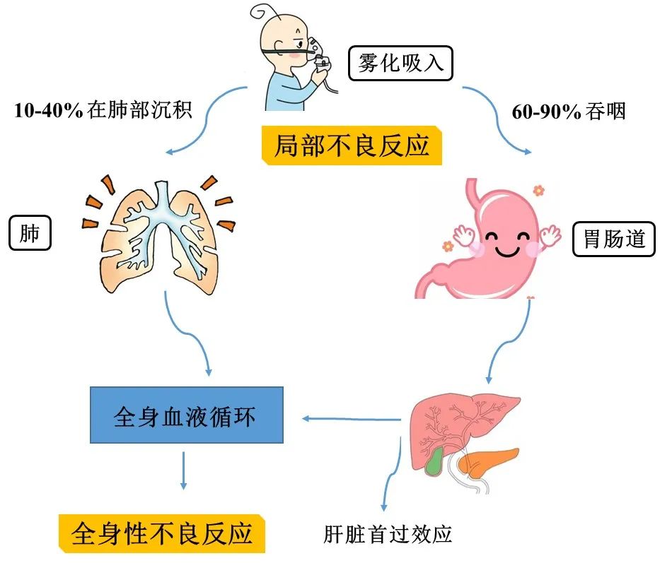 "吸入性糖皮质激素"副作用知多少