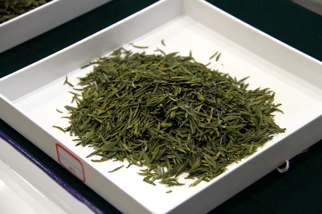 2021年远安黄茶斗茶大赛成功举办