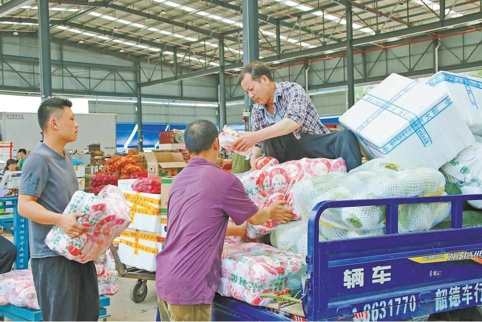 记者探营 | 华南农产品交易中心的一天