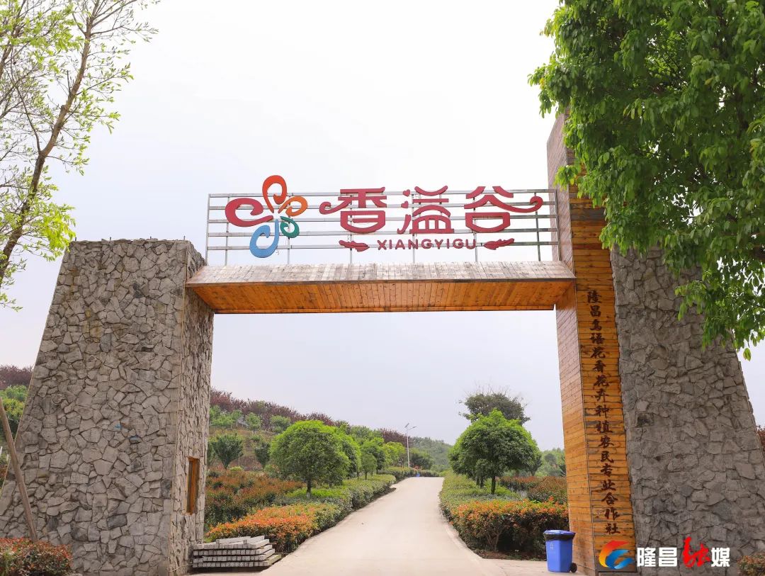 "香溢谷"咱们又继续前往下个拍照地拍完这波网红集装箱还不过瘾的话