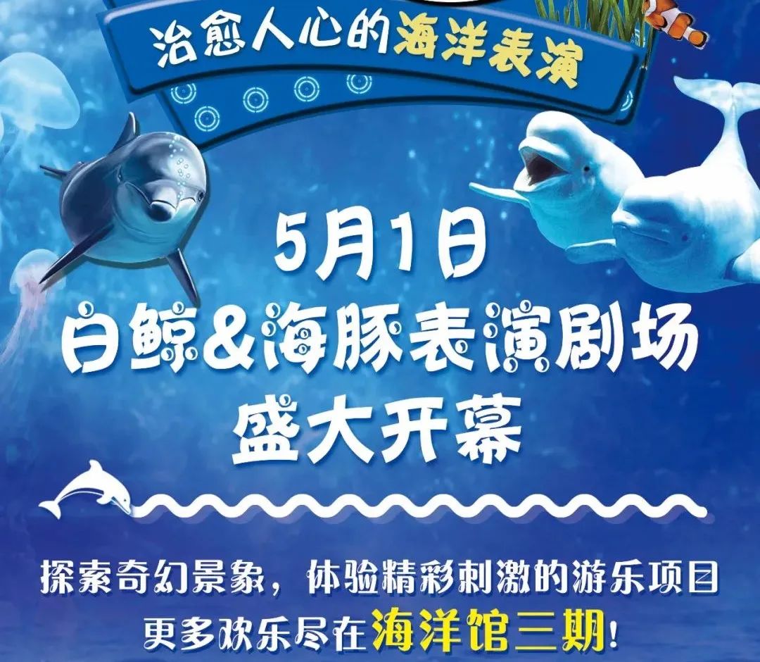 2021鄂尔多斯海洋馆门票免费送5月1日白鲸海豚表演剧场盛大开幕带你