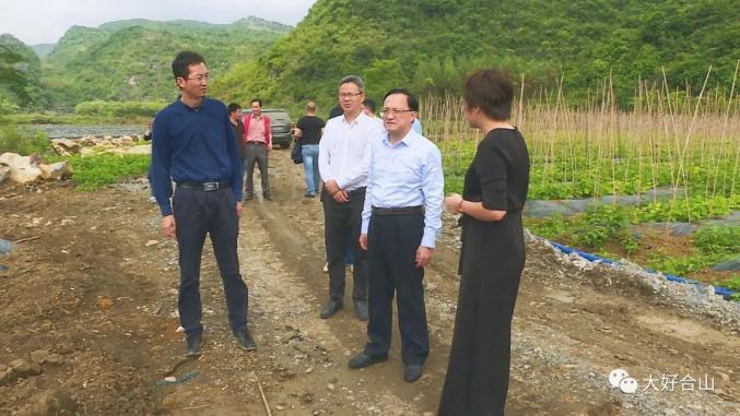 雷应敏到合山调研