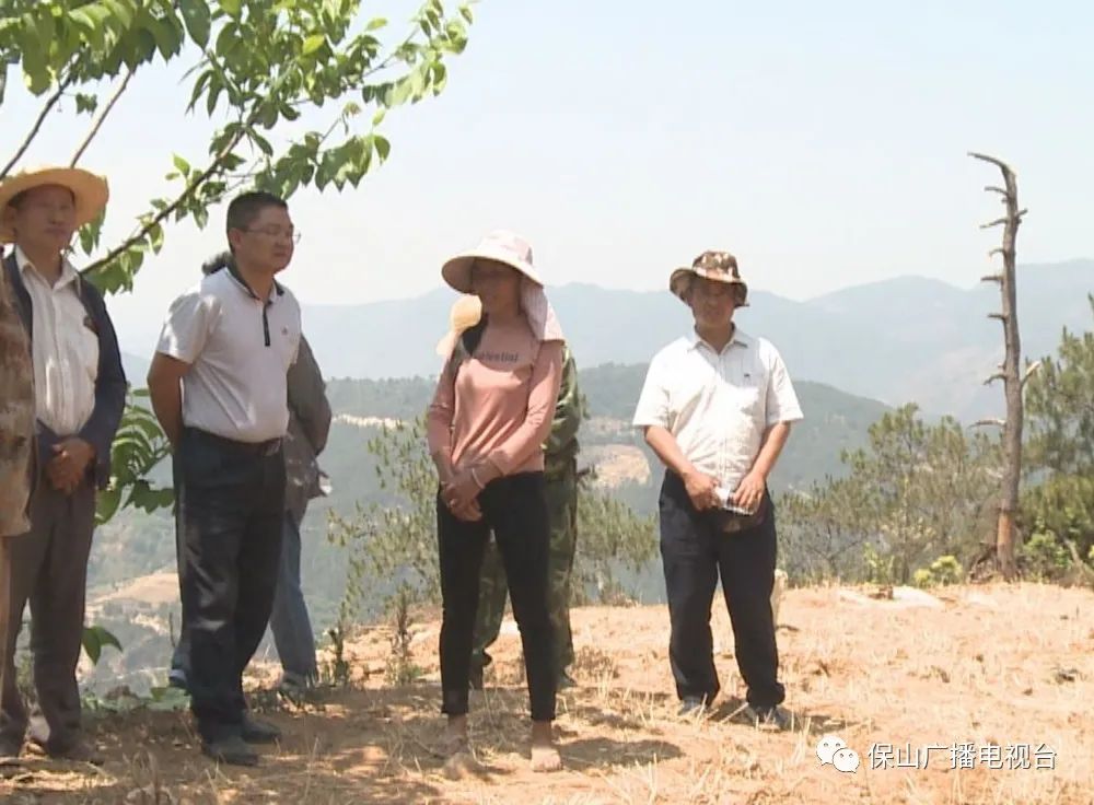 督察整改进行时 | 保山市昌宁县"四不放过"抓好中央生态环保督察问题