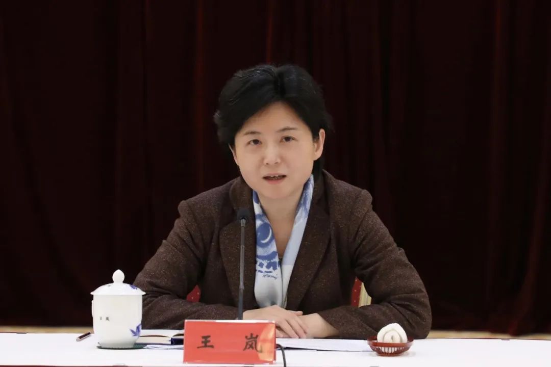 王岚指出,认识再深化,着力把握重大机遇.